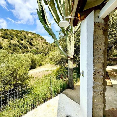 Villa Lo Scoglio Ascea Luaran gambar